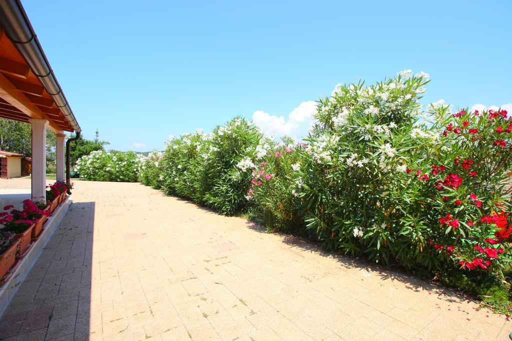 Holiday Home Valmoneda Rovinj Exterior foto